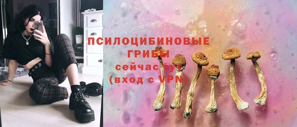 spice Алексеевка