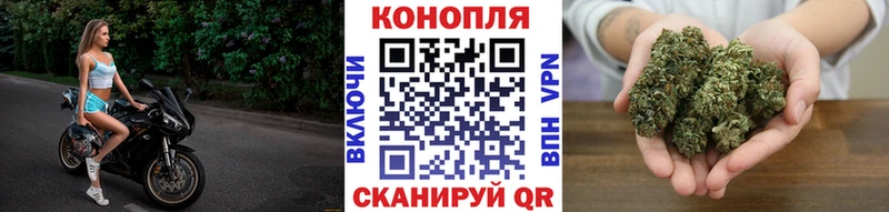KRAKEN ТОР  Суджа  Марихуана MAZAR 